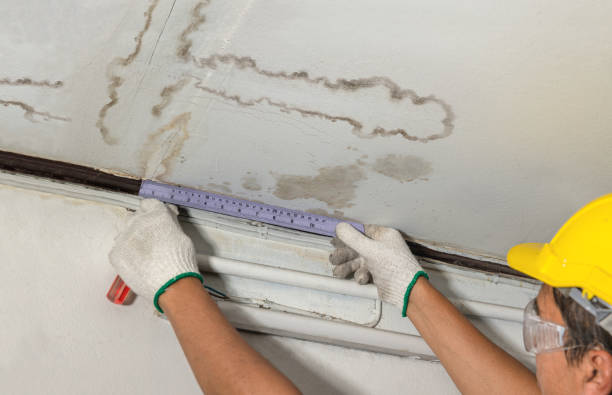 Reliable Flood Cleanup contractor in Stoughton, MA by Water Damage Irwin